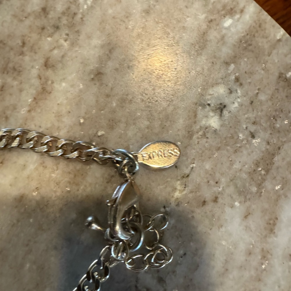 Express Necklace - Picture 3 of 3